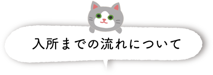 入所までの流れについて