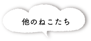 他のねこたち