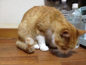 IMG_1055