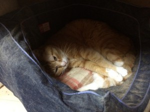 IMG_0151
