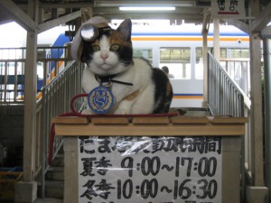 たま駅長2