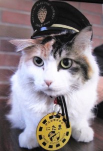 ニタマちゃん