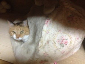 IMG_3980