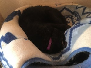 IMG_0204