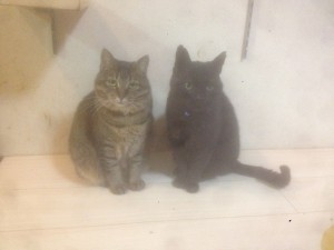 あけおめ