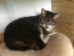 さんた