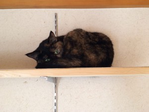 まる
