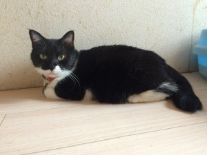 IMG_2455