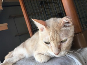 IMG_1542