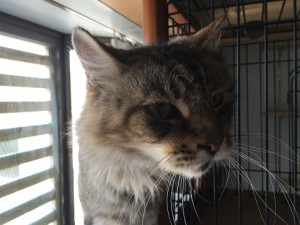 IMG_1644