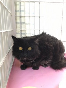 アイン