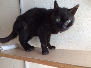 20160902やまと