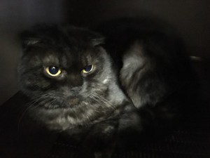 2016/1004　サンペイ