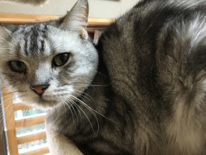 img_1977