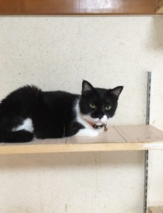 20161025えなココ