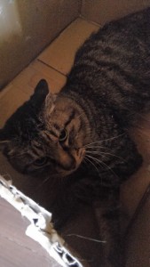 ２０１６１１２４　ジュウ