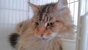 ２０１６１１２４ユウタ