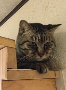20170112ジュウ