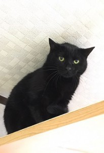 20170112 ハル
