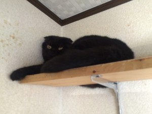 20170207さんぺ