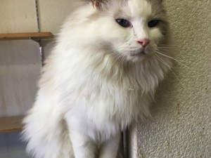 20170301 こたろう