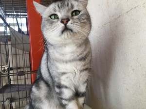 20170301　ちびた
