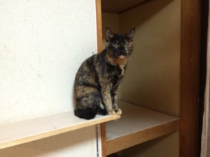 20170223マル