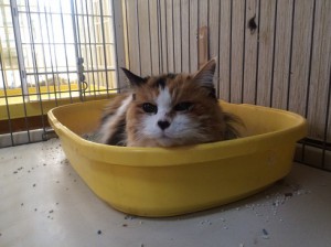 20170311アイ