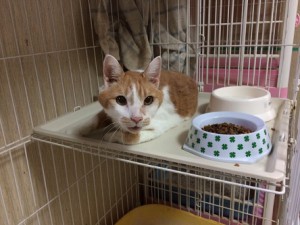 20170907ミー