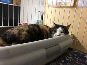 ミル21070918