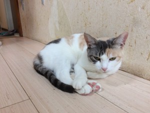 ララ20170907
