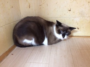 20170907チョン