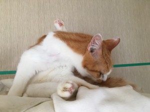 20171028優