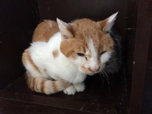 20171124ミー