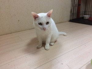 ふー太君20171213