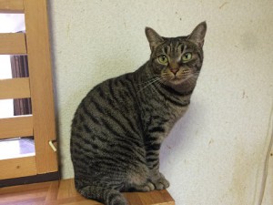 20171213みゅー