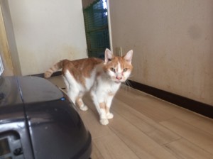 20171228ミー