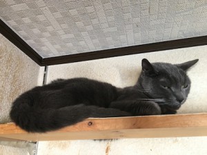 20180110いー
