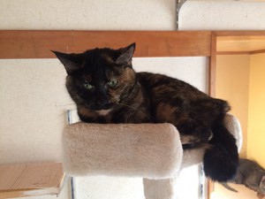 マル20180128