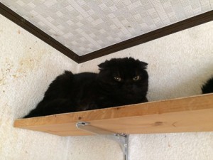 サンペイ20180315