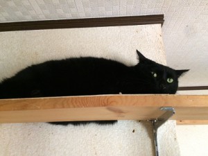 ハル20180315