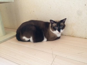 ちょん20180328
