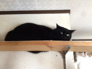 ハル20180329
