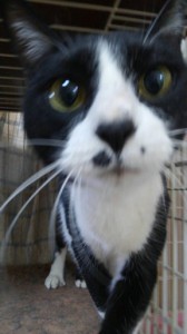 ぼの20180420