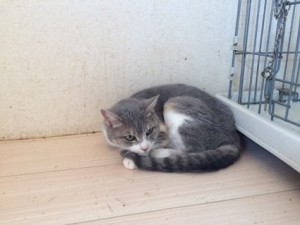ミュー20180406