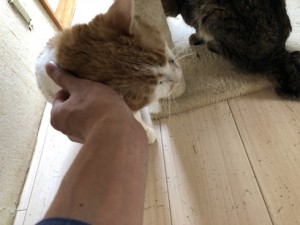 ミー20180523