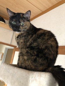 20180523マル