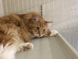 サンキチ20180529