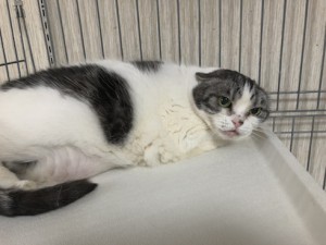 マイコ20180601