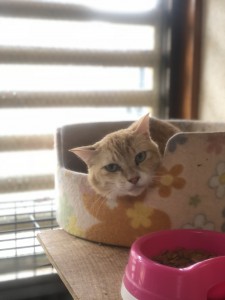 20180711